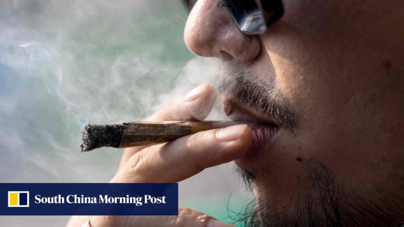 Kelompok ganja Thailand mendesak memikirkan kembali rencana untuk mengkriminalisasi kembali ganja: ‘jangan bawa tanaman rakyat ke dalam sistem’