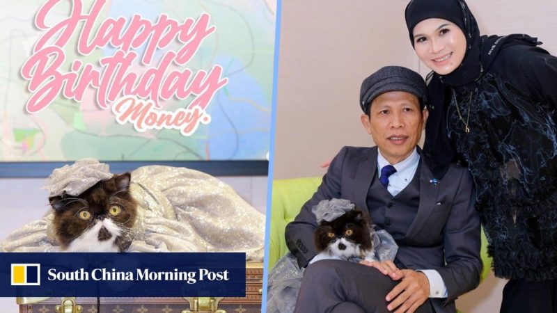 Jutawan Malaysia mengadakan pesta ulang tahun Louis Vuitton yang mewah untuk kucing bernama Money, hadiah kerah merek mewah hewan peliharaan