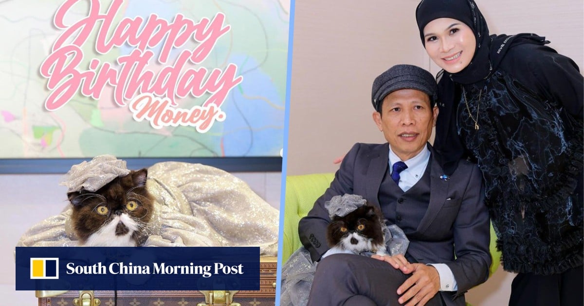 Jutawan Malaysia mengadakan pesta ulang tahun Louis Vuitton yang mewah untuk kucing bernama Money, hadiah kerah merek mewah hewan peliharaan