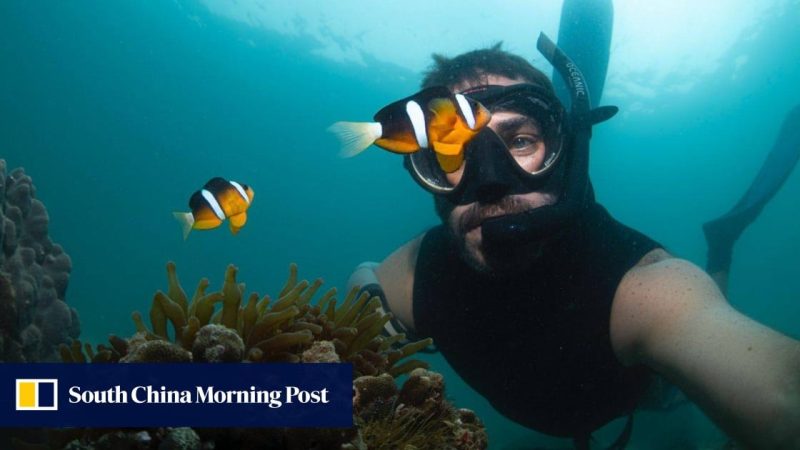 Fotografer bawah air dan instruktur selam di Hong Kong tentang mengapa ia menyukai gaya hidup alternatifnya