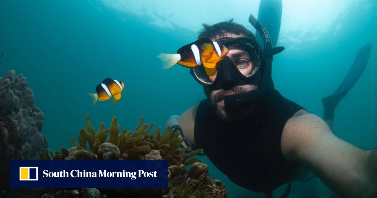 Fotografer bawah air dan instruktur selam di Hong Kong tentang mengapa ia menyukai gaya hidup alternatifnya