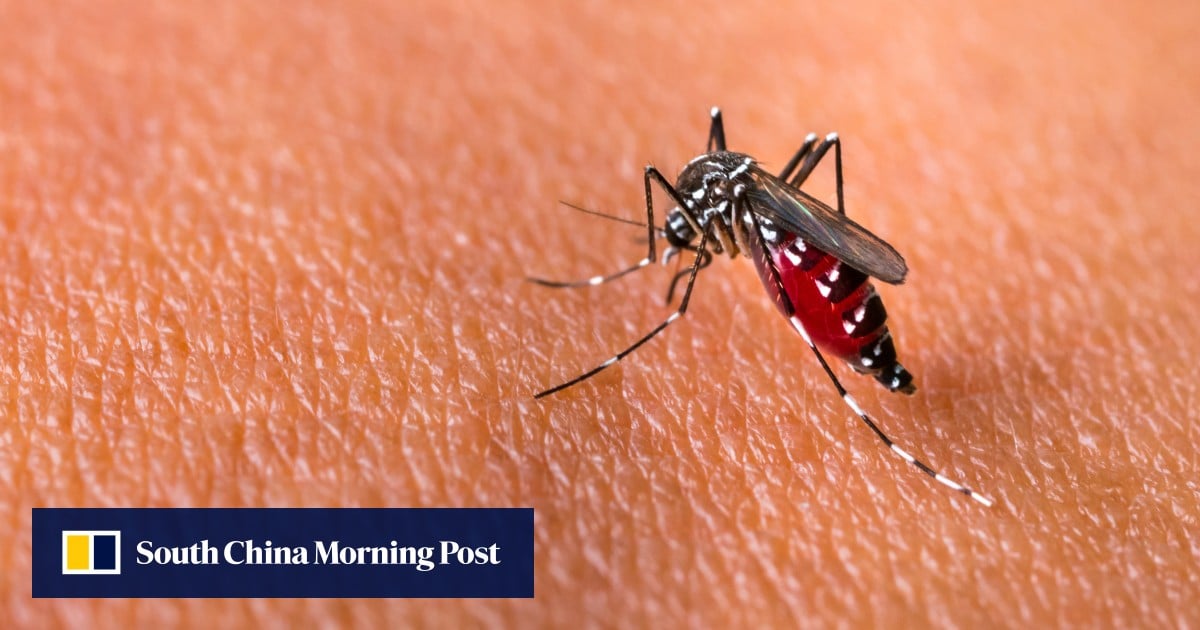 Warga Hong Kong yang menggunakan penolak berbasis DEET untuk mencegah nyamuk memperingatkan potensi efek samping