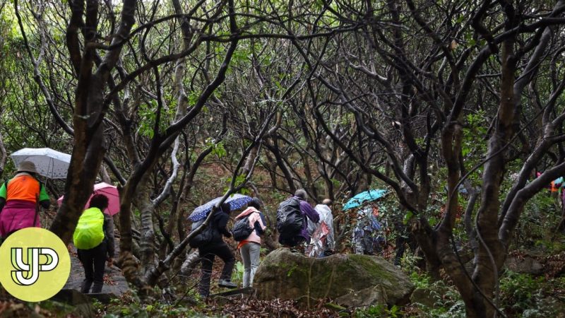 Pendaki Hong Kong diperingatkan untuk mempersiapkan ekspedisi dengan lebih baik setelah 2 kematian terkait trekking di kota – YP