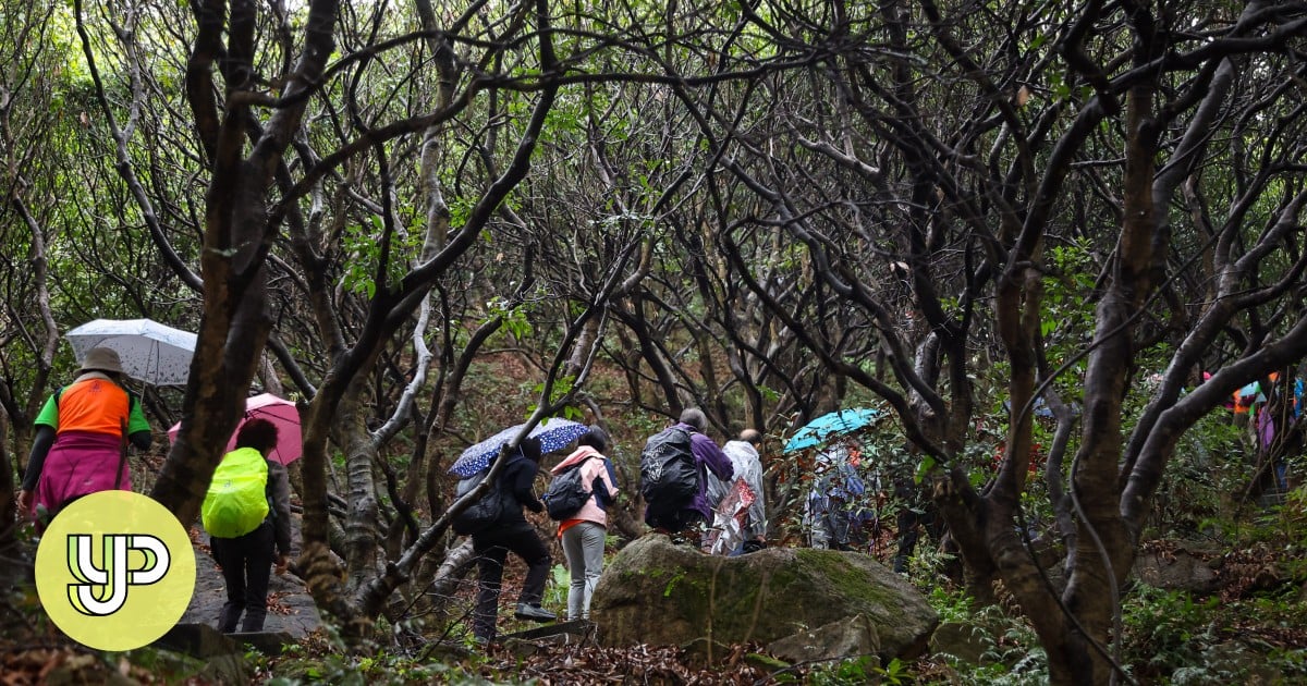 Pendaki Hong Kong diperingatkan untuk mempersiapkan ekspedisi dengan lebih baik setelah 2 kematian terkait trekking di kota – YP