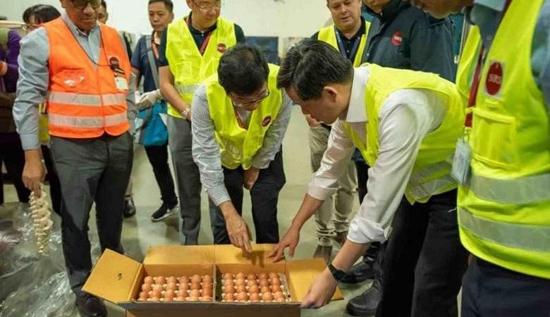 Pasokan dari negara lain di tempat, kata Chan Chun Sing saat 300.000 telur mendarat di Changi