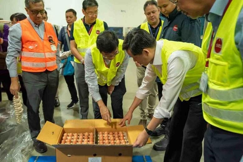 Pasokan dari negara lain di tempat, kata Chan Chun Sing saat 300.000 telur mendarat di Changi