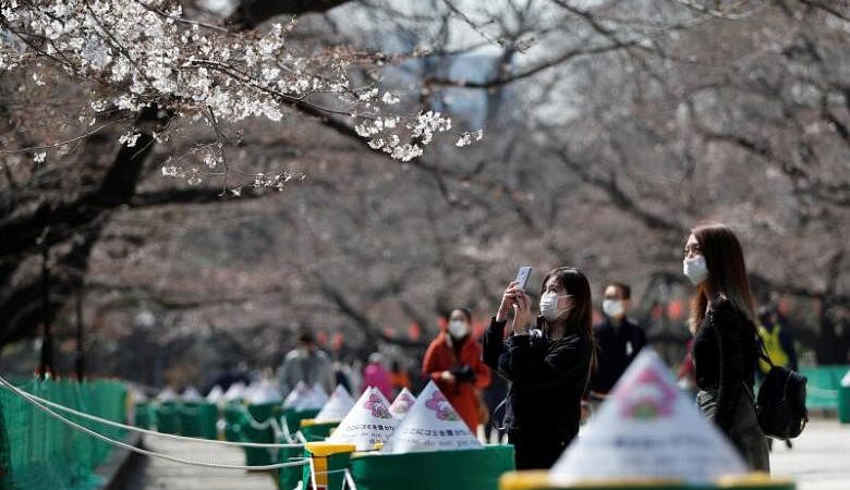 Pesta melihat bunga sakura di Jepang layu karena wabah virus corona